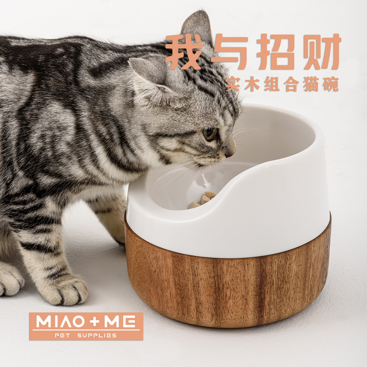 我与招财MIAO&ME保护颈椎防洒