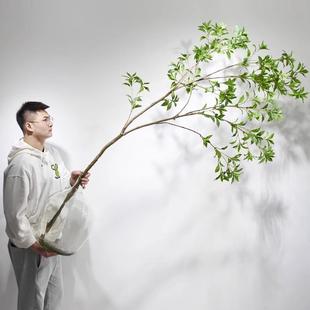 仿真绿植马醉木轻奢假植物室内客厅服装店橱窗落地摆件吊钟装饰