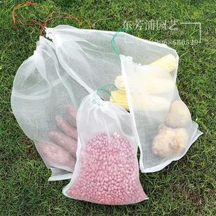 尼龙网袋无花果水果网套袋透气防虫防鸟蔬菜丝瓜葡萄保护袋浸种袋