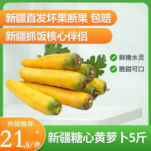 新疆黄萝卜5斤手抓饭配料炖汤新鲜蔬菜农家自种糖心黄色胡萝卜