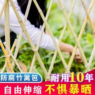 竹篱笆栅栏围栏植物爬藤花架庭院花园菜园竹子护栏户外伸缩竹围墙