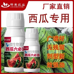 西瓜六必治专用药微生物菌剂黄叶枯萎青枯赤斑蔓枯炭疽叶面肥