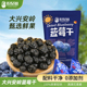 农品多蓝莓干果80g大兴安岭蓝莓无添加剂东北特产办公室零食果脯