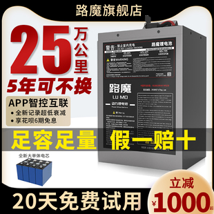 外卖电动车宁德电芯时代48v60伏72v大单体磷酸铁锂电池蚂蚁保护板