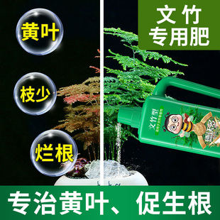 文竹专用肥营养液盆栽植物养花通用花肥料水培盆景治叶子发黄室内