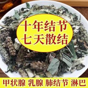 蒲公英散结茶夏枯草茶消除甲状腺茶肺玻璃磨微小结节乳腺消结茶