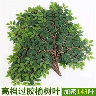 仿真榆树叶树叶树枝过胶加密工程造景绿植物室内装饰塑料绿色叶子