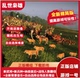 全面战争三国MOD 乱世枭雄模组 一键即玩 steam正版游戏mod