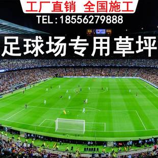 足球场人造草坪仿真草坪人工草坪户外室内假草坪学校幼儿园包施工