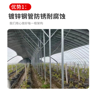 吉林种植蔬菜大棚骨架养鸡鸭鹅钢管骨架温室菌类花卉大棚养殖大棚