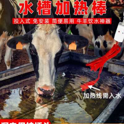 养殖场牛羊猪马饮水槽子自动恒温电加热棒烧水器大功率工业加热管