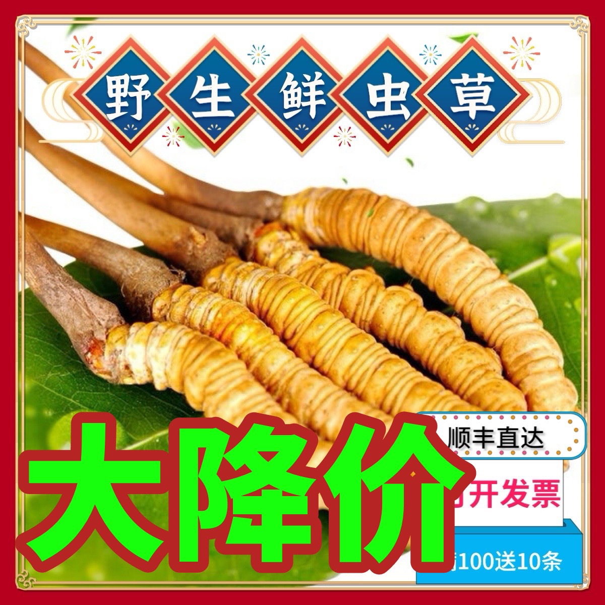 官方企业店新鲜虫草野生冬虫夏草西藏