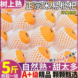 四川攀枝花5斤米易枇杷新鲜枇杷鲜果当季现摘发水果大甜整箱琵琶9