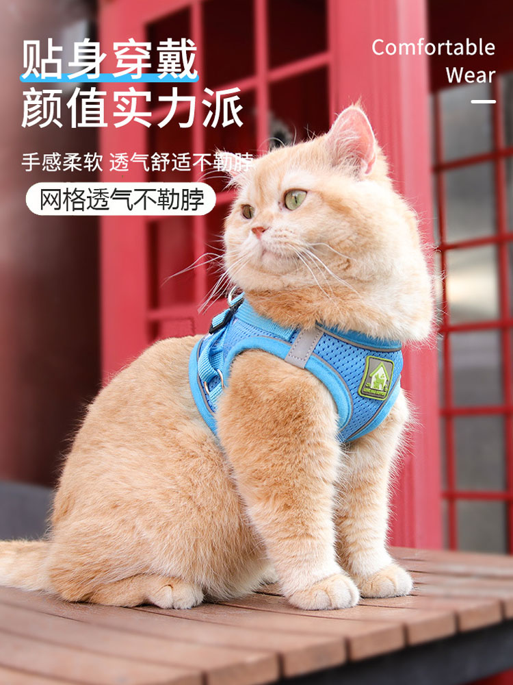 猫咪牵引绳外出防挣脱猫胸背狗绳子反