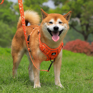 狗狗胸背牵引绳中小型犬柴犬柯基犬专用可调节背心式胸背带遛狗绳