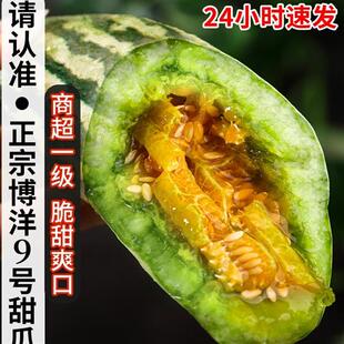 头茬山东博洋9号甜瓜5斤水果新鲜当季羊角脆瓜九号甜香瓜蜜整箱10