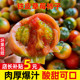 丹东草莓铁皮柿子5斤西红柿自然熟新鲜盘锦碱地生吃水果绿腚番茄3