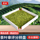 茶叶分样盘感官审评室扦样盘取样审评盘斗茶比赛茶厂SC认证用具