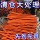 水龙头延伸器加长水管阳台拖把池防溅头防溅神器万向旋转软管