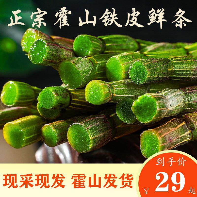 新鲜铁皮石斛鲜条正品霍山石斛枫斗种植正宗滋补中药材四五年500g