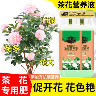 茶花肥料专用肥四季山茶花杜鹃桂花树养花肥料酸性花卉植物营养液