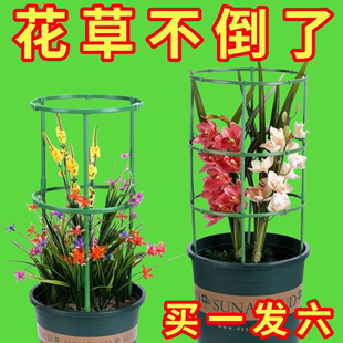 植物支架通用型花架拼接园艺兰花莲花花架子支撑杆内家用爬藤架