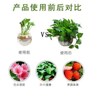 植物绿色蔬菜水培植物营养液四季通用盆栽花卉绿植通用富贵竹肥料