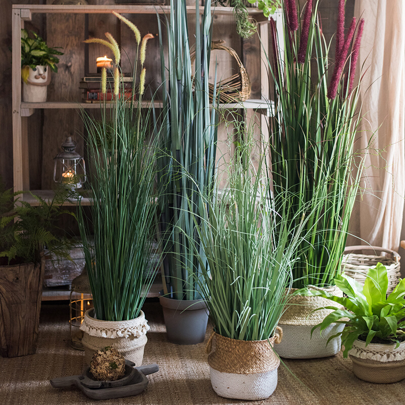 掬涵洋葱草仿真绿植芦苇草盆景大型植物假绿植家居室内装饰品