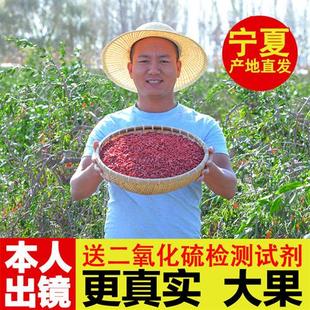 正宗大果枸杞子宁夏特级500g特优构苟杞茶头茬新货中宁官方旗舰店