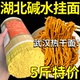 武汉热干面碱面条炒面凉面拌面炸酱面条挂面干面速食碱水面可商用