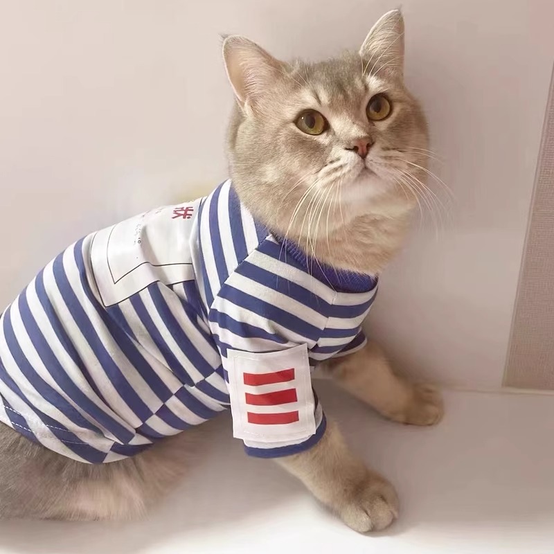 宠物猫咪衣服春夏款蓝白布偶金渐层夏