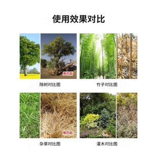 除大树根药灭树粉烂根剂强力一滴死树枯死专用药剂除树烂树根神器