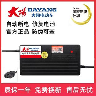 大阳原厂两轮三轮电动电瓶车充电器原装48v12ah60V20A72v30a通用