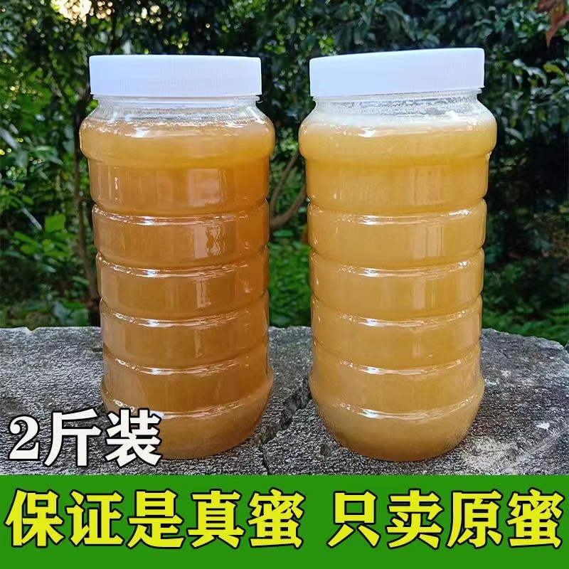 土蜂蜜纯正天然正宗野生农家自产无添加百花龙眼荔枝蜂蜜鸭脚木蜜