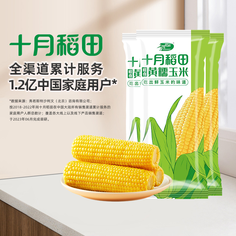 十月稻田鲜食黄糯玉米220g*3大棒新鲜苞米真空包装早餐官方旗舰