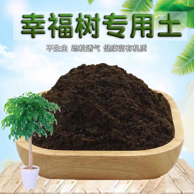 幸福树适用土幸福树营养土种植土壤种花泥土室内通用养花土有机肥