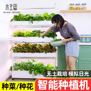 家庭智能种菜机自动室内多层水培蔬菜种植机无土栽培设备神器植物