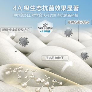 金号4A级抗菌小毛巾纯棉洗脸家用方巾加厚全棉吸水擦手巾挂式手巾