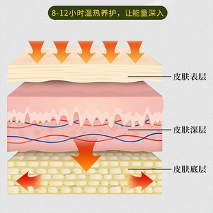 网红肝火旺盛湿气重除口臭口干口苦口臭去肝火尿黄臭治屁多日本护