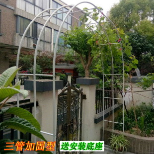 拱门花架爬藤架户外花园阳台园艺支架葡萄月季花铁线莲植物架子