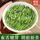 新茶雀舌茶叶2024嫩芽全芽特级雀舌绿茶特级湄潭绿茶春茶