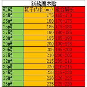 新款大博文飞跃田径鞋儿童鞋魔术贴鞋练武武术学校专用鞋帆布鞋