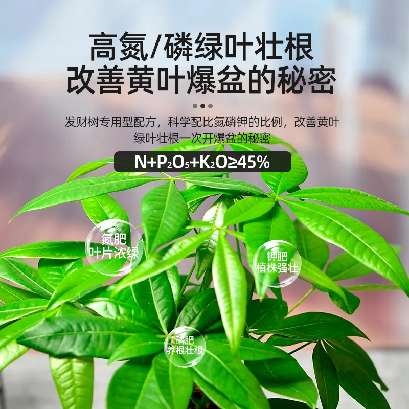 发财树肥料专用肥花肥盆栽家用通用型氮磷钾花卉植物颗粒缓释肥