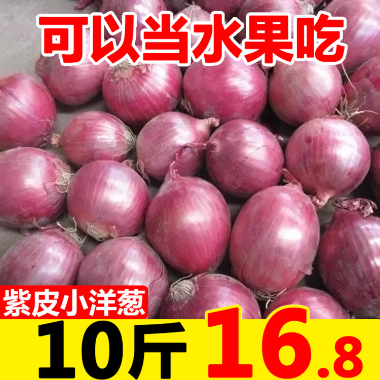 云南水果洋葱10斤新鲜紫皮圆葱蔬菜