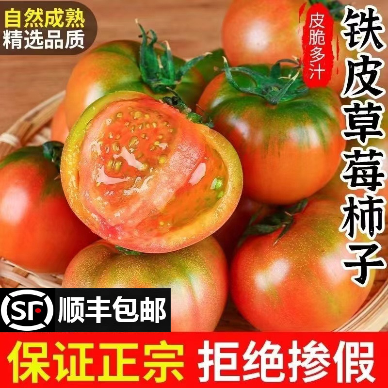 正宗丹东草莓柿子5斤西红柿新鲜碱地
