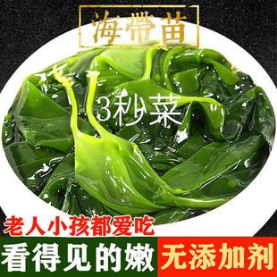 霞浦海带苗嫩非干货新鲜小海带芽盐渍嫩苗火锅菜食材3/5斤