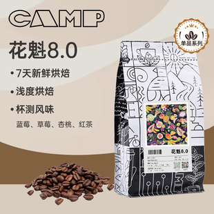 【新品】CAMP露营咖啡单品系列花魁8.0浅烘焙拼配精品熟豆手冲