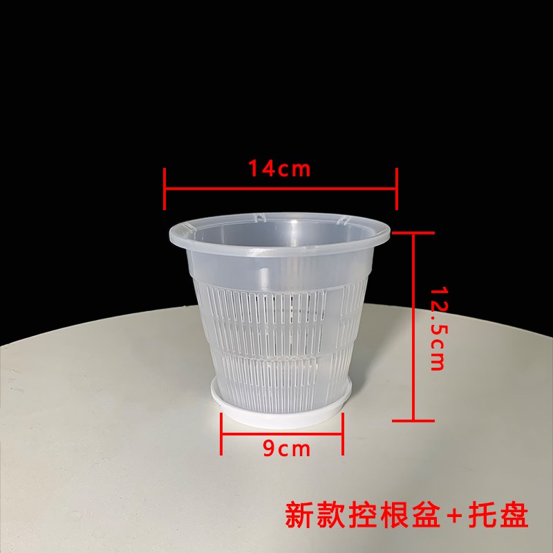 急速发货兰花控根控水花盆蝴蝶兰秋石斛卡特文心国兰透气透水通疏