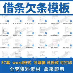 个人借条正规模板借款凭证明欠条借据电子版公司法律效应担保word