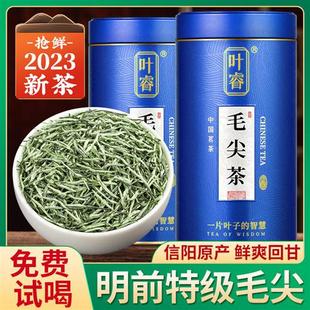 信阳原产毛尖2023新茶特级明前绿茶嫩芽散装毛尖茶叶500g官方正品